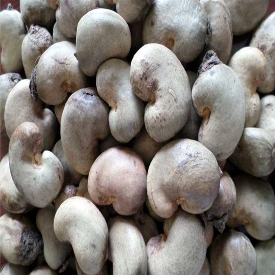 raw-cashew.webp