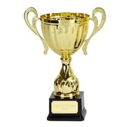 Metal Cup Trophie