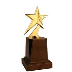 Irregular Metal Trophy