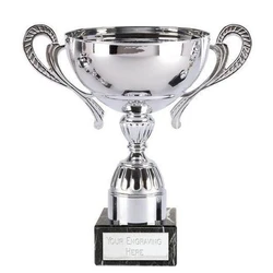 Silver Metal Trophies
