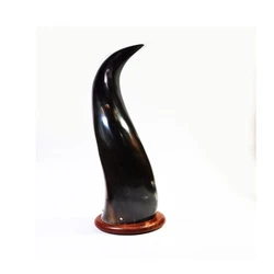 Animal Horn Crafts