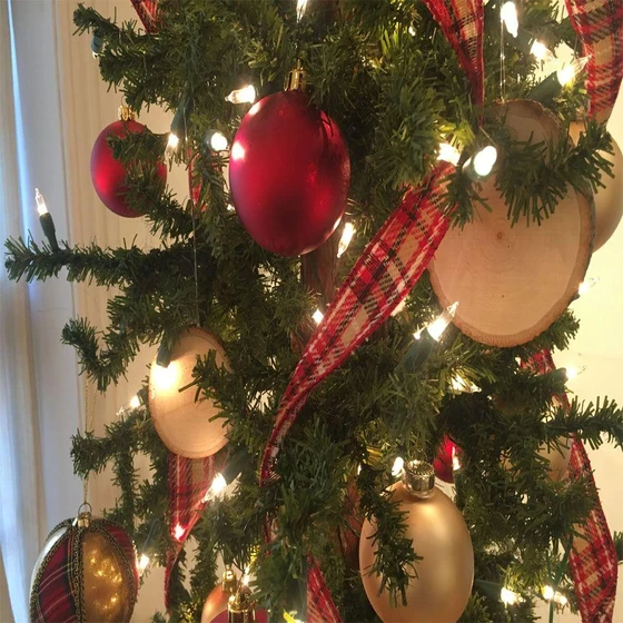 ethnic-tree-showcase-2.webp
