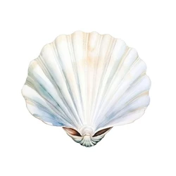 Hand Shell White