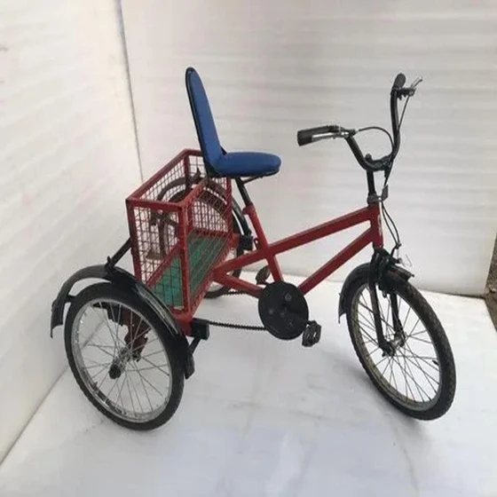 drive-paddle-tricycle-2.webp