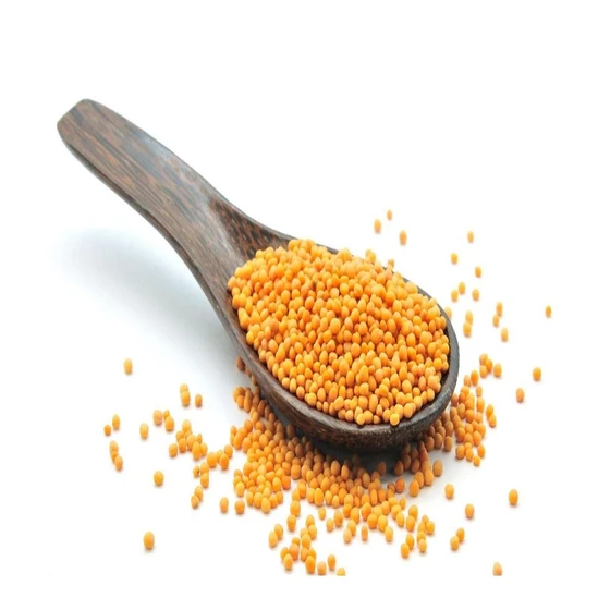 mustard-yellow-seed-2.webp