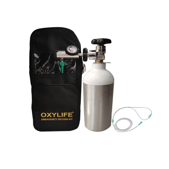 cylinder-portable-oxygen-2.webp