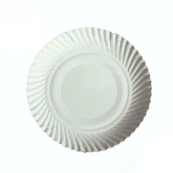 White Disposable Paper Plate