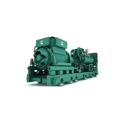 Natural Gas Generator