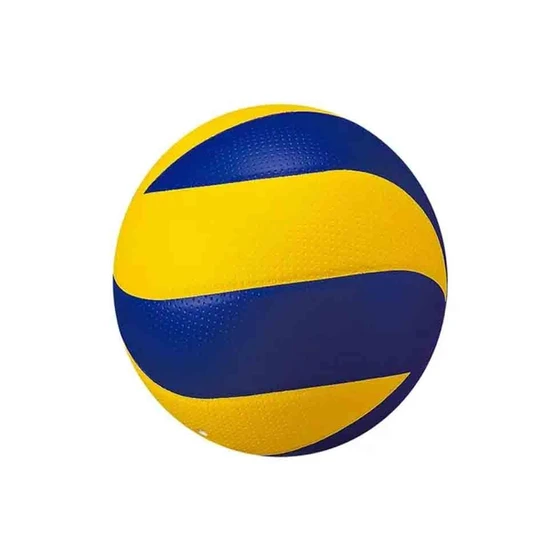 volleyball-price.webp