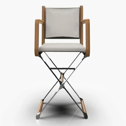 Metal Director Chairs