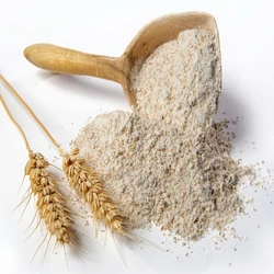 Pure Wheat Flour