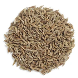 Dried Cumin Seed