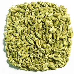 Organic Whole Fennel