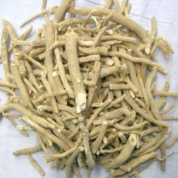 Natural Ashwagandha Roots