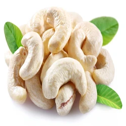 Cashew Organic Nuts