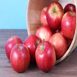 Commonly Fresh Apple Fruit