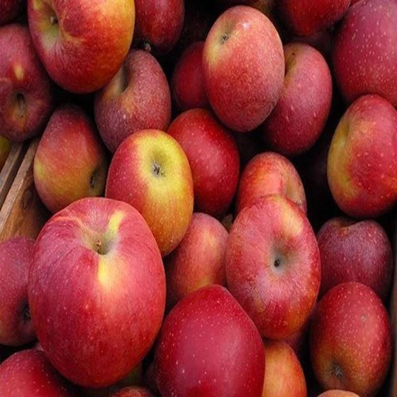 natural-red-fresh-apple-fruit-2.webp