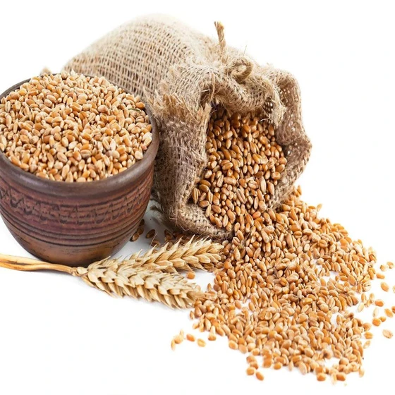 food-grains-2.webp