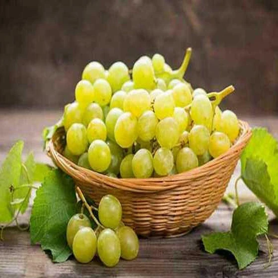 fresh-green-grapes-2.webp