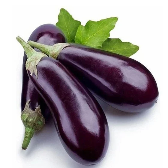 organic-fresh-brinjals-2.webp