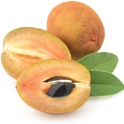 Natural Fresh Sapota
