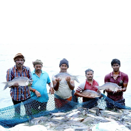 fish-farming-production-1.webp