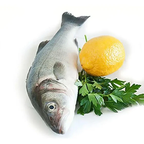 sea-emperor-fish-1.webp