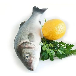 Sea Emperor Fish