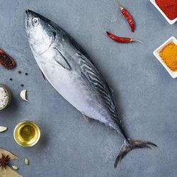 Fresh Tuna Fish