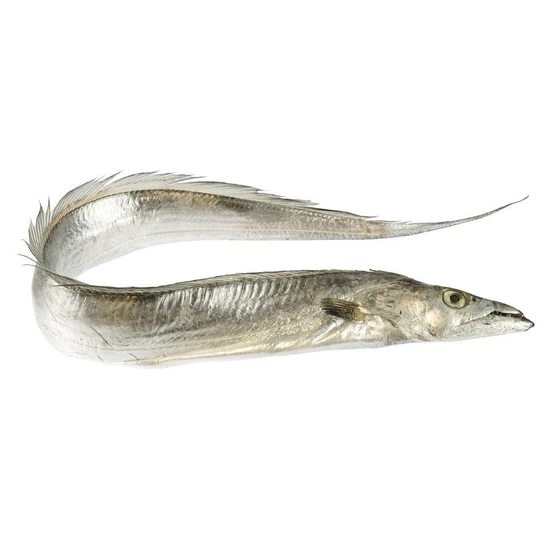 fresh-ribbon-fish-1.webp