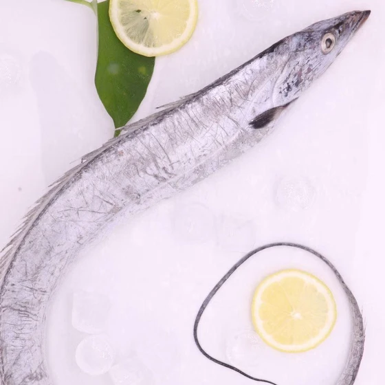 fresh-ribbon-fish-2.webp