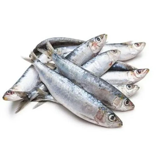 fresh-sardine-fish-2.webp