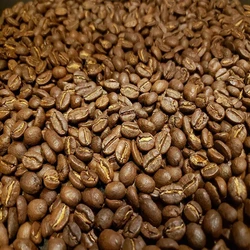 Supremo Coffee Bean