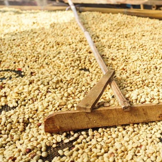 blended-coffee-beans-2.webp