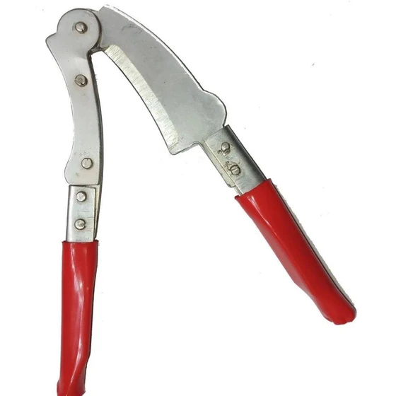 supari-nuts-cutter-1.webp
