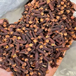 Organic Cloves Seeds