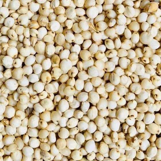 natural-sorghum-seeds-1.webp