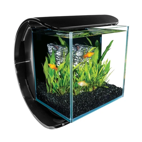 square-fish-aquarium-2.webp