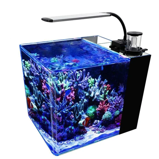 glass-marine-aquarium-2.webp
