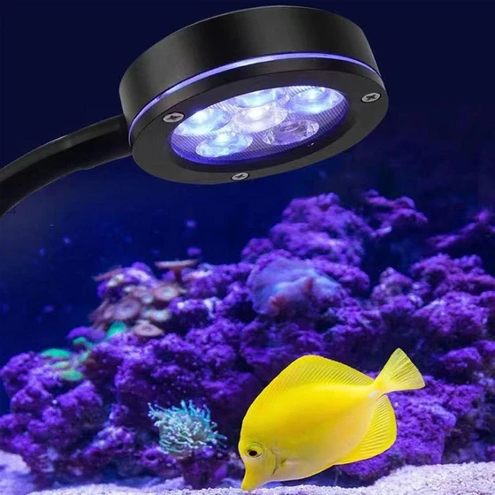 led-marine-aquarium-2.webp