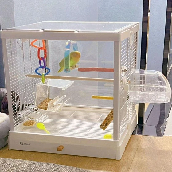 glass-bird-cages-2.webp
