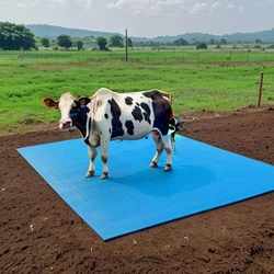 Blue Cow Mat