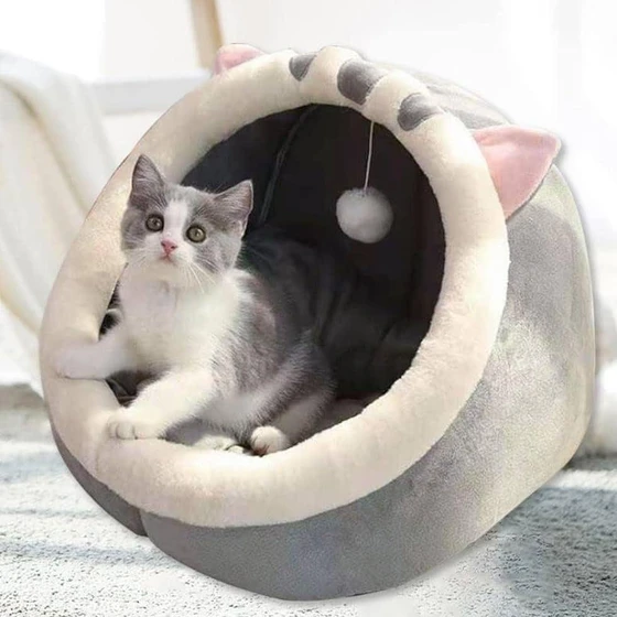 cotton-cat-house-1.webp