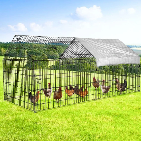 rectangular-chicken-cage-2.webp