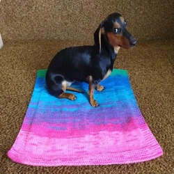 Woolen Dog Blanket