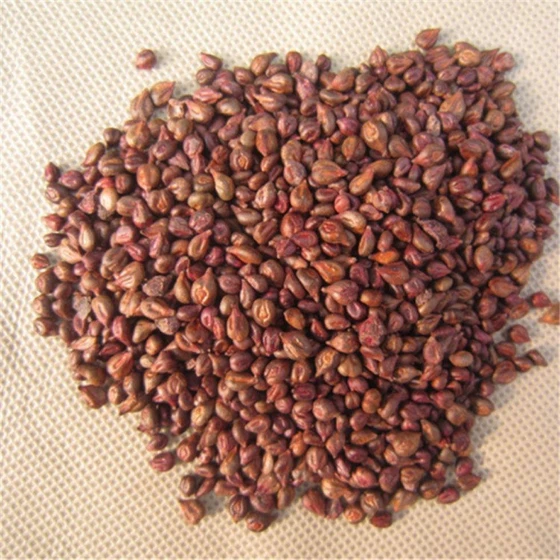 grape-organic-seeds-2.webp