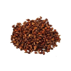 Grape Organic Seeds