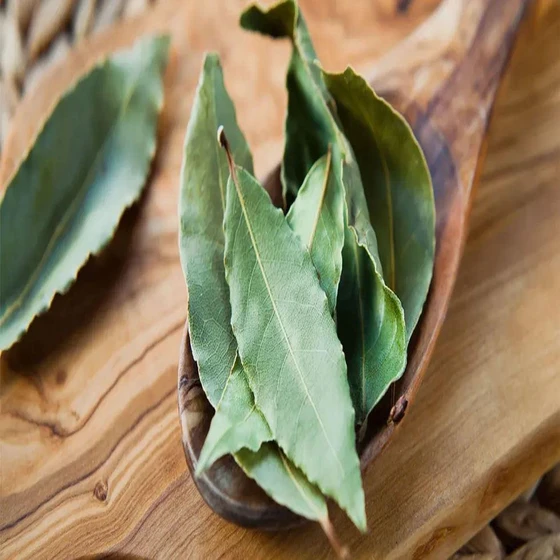 bay-leaf-laurel-leaves-2.webp