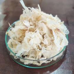 Chitin Flakes