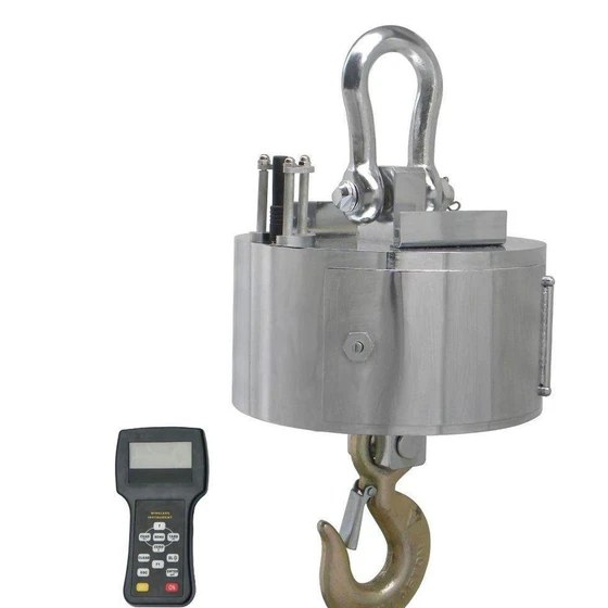 ss-crane-scale-2.webp